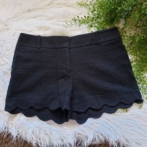 Loft Black Scallop Edge Patterned Shorts